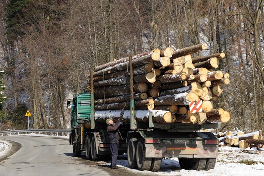 Transport drewna