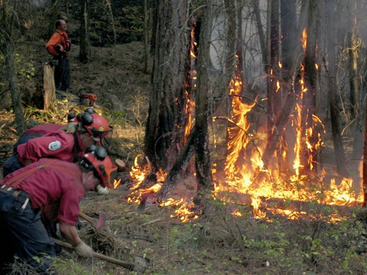 Strażacy gaszący pożar (autor: Kyle Sanguin, źródło: www.wikipedia.org, licencja: domena publiczna)