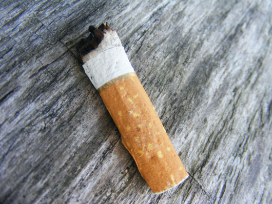 papieros (autor: Tosycyzkiewicy, źródło: Wikimedia Commons, licencja: domena publiczna)