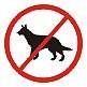 zakaz puszczania psów bez smyczy