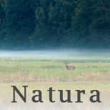 Natura