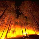 Pożar lasu źródło: httpfirepix.blm.gov, licencja: domena publiczna