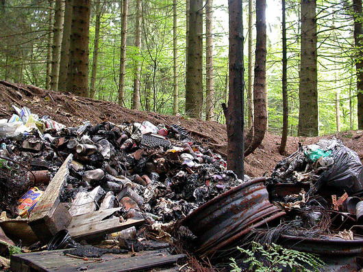 Śmieci w lesie (autor: Gilles San Martin, źródło: flickr.com, licencja: CC BY-SA 2.0)