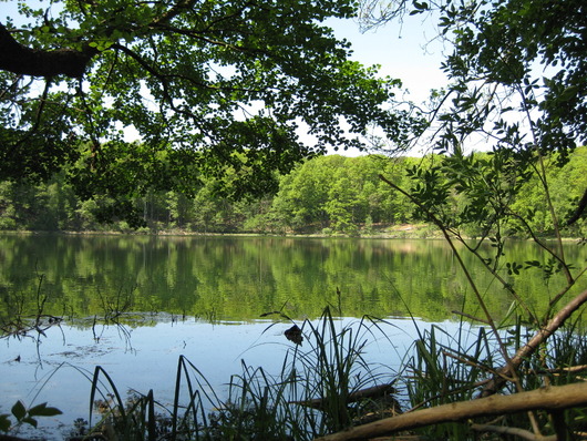 Jezioro Kociołek na terenie Wielkopolskiego Parku Narodowego (autor: Awersowy, źródło: Wikimedia Commons, licencja: CC BY-SA 3.0)