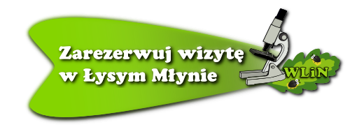 Zarezerwuj wizytę w Łysym Młynie