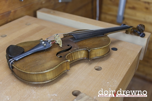 świerk_instrument2 źródło:domidrewno.pl