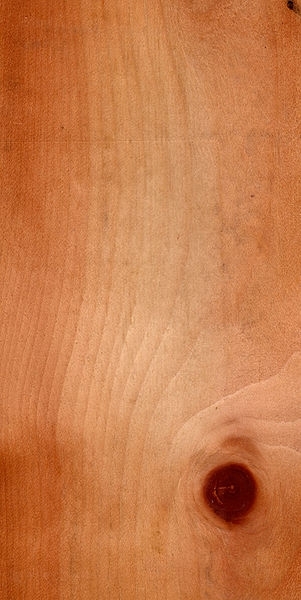 Limba - przekrój drewna (autor: Achim Raschka, źródło: Wikipedia, licencja: CC BY-SA 3.0)