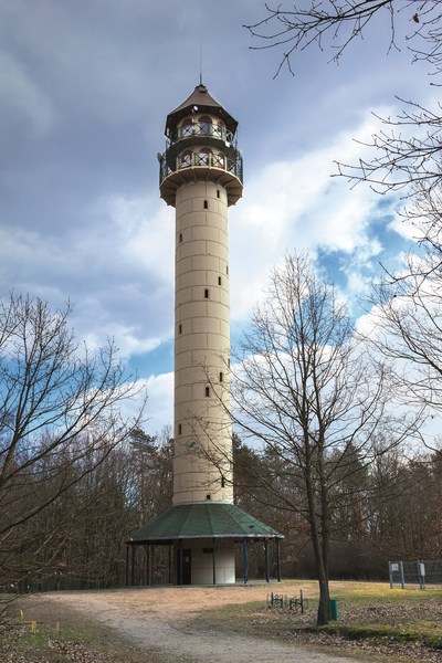 Wieża widokowa na Dziewiczej Górze (autor: Roksana Magda)