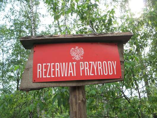 Rezerwat przyrody