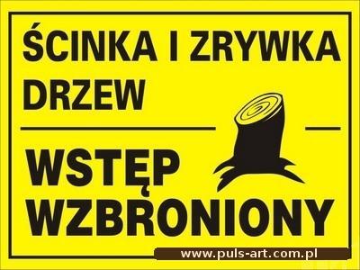 Wstęp wzbroniony - ścinka drzew