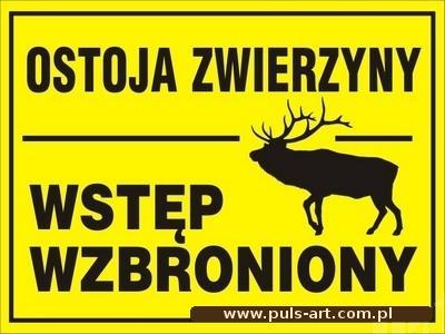 Wstęp wzbroniony - ostoja zwierzyny